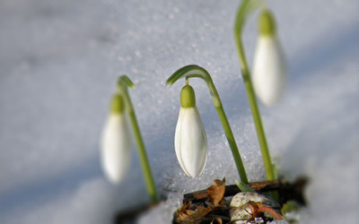 Signs of spring for magazine media
